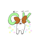 ふわふわパピヨン！シナモンです（個別スタンプ：21）