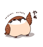 ふくよか雀（個別スタンプ：1）