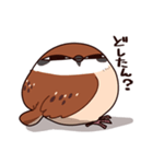 ふくよか雀（個別スタンプ：2）
