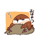 ふくよか雀（個別スタンプ：3）