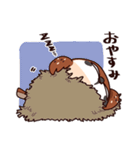 ふくよか雀（個別スタンプ：4）