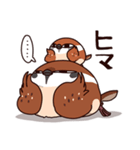 ふくよか雀（個別スタンプ：9）