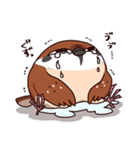 ふくよか雀（個別スタンプ：17）