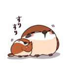 ふくよか雀（個別スタンプ：20）