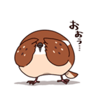 ふくよか雀（個別スタンプ：29）