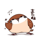 ふくよか雀（個別スタンプ：34）