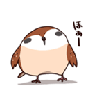 ふくよか雀（個別スタンプ：35）