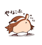ふくよか雀（個別スタンプ：39）