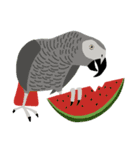 インコといろいろな鳥のスタンプ(Ver.5)（個別スタンプ：1）
