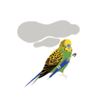 インコといろいろな鳥のスタンプ(Ver.5)（個別スタンプ：8）