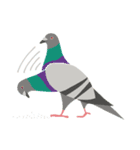 インコといろいろな鳥のスタンプ(Ver.5)（個別スタンプ：20）