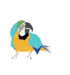 インコといろいろな鳥のスタンプ(Ver.5)（個別スタンプ：24）