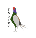 インコといろいろな鳥のスタンプ(Ver.5)（個別スタンプ：32）