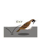 インコといろいろな鳥のスタンプ(Ver.5)（個別スタンプ：37）