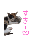 KIKI ^._.^（個別スタンプ：2）