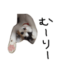 KIKI ^._.^（個別スタンプ：7）