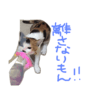 KIKI ^._.^（個別スタンプ：8）