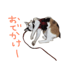 KIKI ^._.^（個別スタンプ：13）