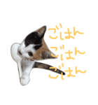 KIKI ^._.^（個別スタンプ：14）