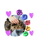 Merスタンプ第1弾（個別スタンプ：12）