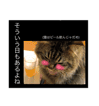 Merスタンプ第1弾（個別スタンプ：15）