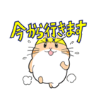 ティエラEXオープン模試（個別スタンプ：16）