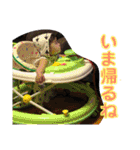 なの 第三弾（個別スタンプ：21）