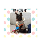 ぺこわん（個別スタンプ：4）