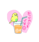 黄色インコの日常スタンプ（個別スタンプ：10）