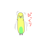 黄色インコの日常スタンプ（個別スタンプ：11）