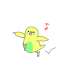 黄色インコの日常スタンプ（個別スタンプ：13）