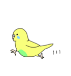 黄色インコの日常スタンプ（個別スタンプ：19）