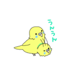 黄色インコの日常スタンプ（個別スタンプ：21）