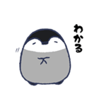 ぎんきち（個別スタンプ：1）
