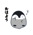ぎんきち（個別スタンプ：10）