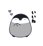 ぎんきち（個別スタンプ：13）