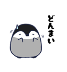 ぎんきち（個別スタンプ：16）
