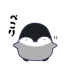 ぎんきち（個別スタンプ：17）