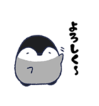 ぎんきち（個別スタンプ：23）