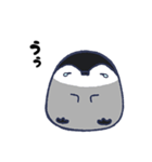 ぎんきち（個別スタンプ：31）