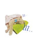 ウチのみろ（個別スタンプ：3）