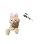 ウチのみろ（個別スタンプ：16）