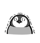 ちびペンギン（個別スタンプ：17）