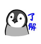 ちびペンギン（個別スタンプ：35）