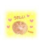 ほんわか、ふたごのこねこちゃん（個別スタンプ：2）