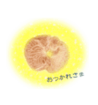 ほんわか、ふたごのこねこちゃん（個別スタンプ：7）