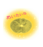 ほんわか、ふたごのこねこちゃん（個別スタンプ：11）
