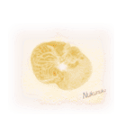 ほんわか、ふたごのこねこちゃん（個別スタンプ：13）
