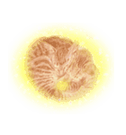ほんわか、ふたごのこねこちゃん（個別スタンプ：14）