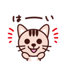 はらちゃん専用スタンプです！（個別スタンプ：6）